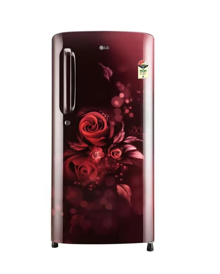 [B201ASFD] LG 3-Star Single Door Refrigerator